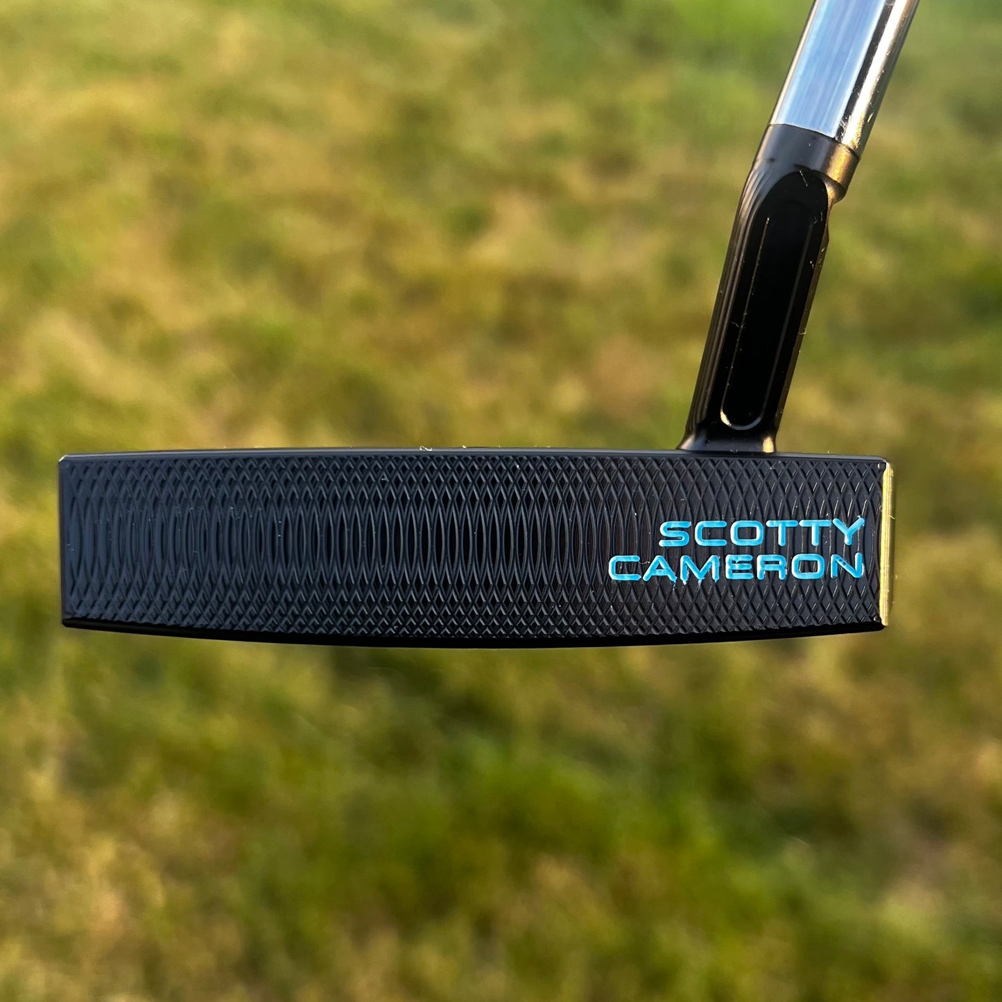 2024 Scotty Cameron Phantom X 5.5 DLC black Elephant print With Blue Glossy paint fill