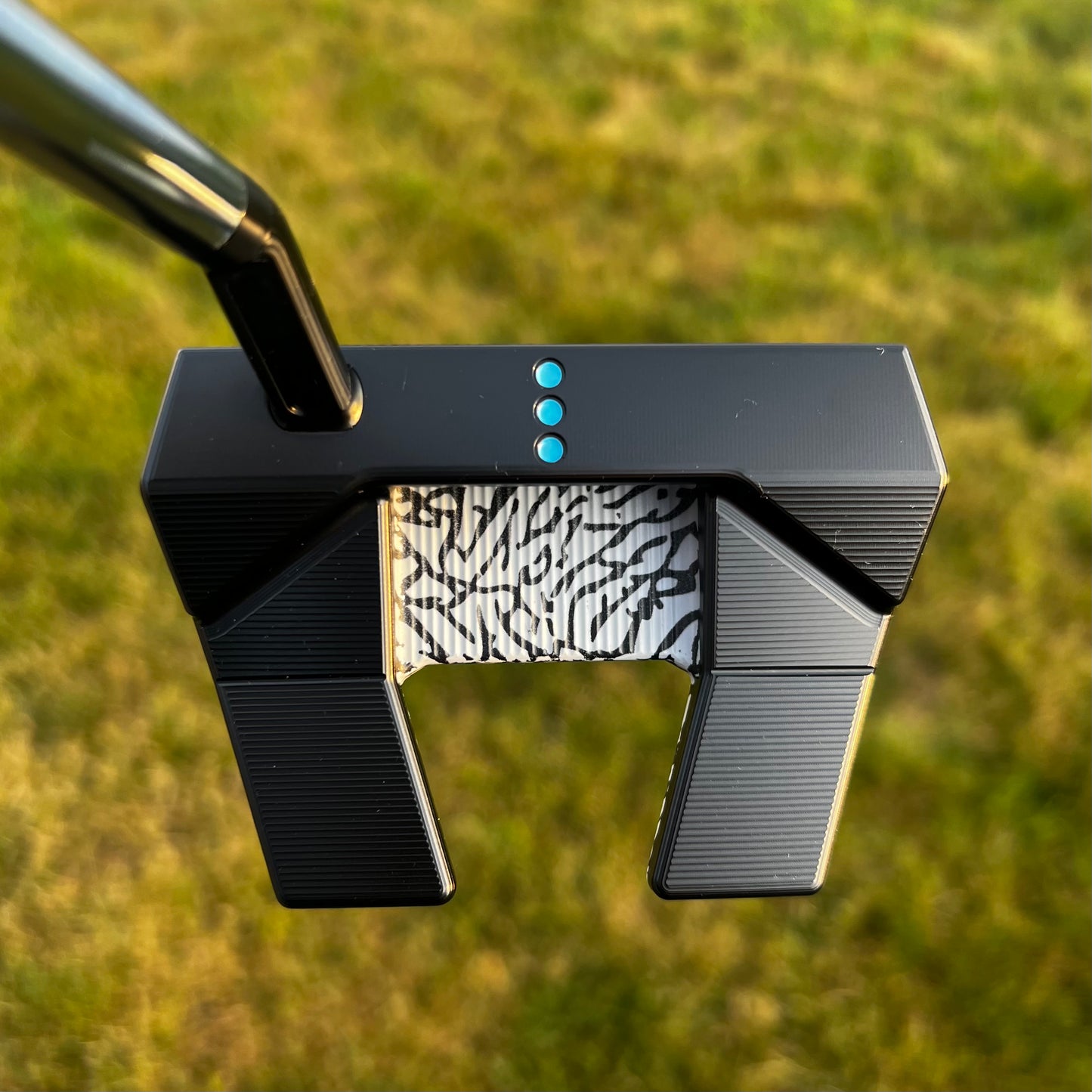 2024 Scotty Cameron Phantom X 5.5 DLC black Elephant print With Blue Glossy paint fill